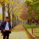 고향차밭골식당 이미지