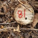 은평-081 이미지