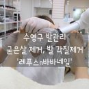 레푸스n바바 이미지