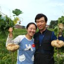 박종남농장 이미지