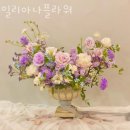 일리아나플라워