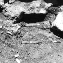 계림로(동) 이미지