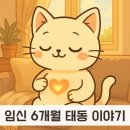 쉬어야 | 임신 20주~24주 태동 후기와 배뭉침 대처법(쉬어야 할 때와 병원 가야 할 때)