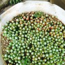 석전동315 이미지