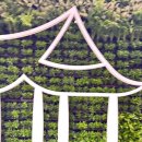 그림으로 알아보는 타로 이미지