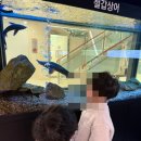 체육로135번길 32 | 아이와갈만한곳 실내갈만한곳 경기도교육청미래과학교육원 수원갈만한곳 과학관 미취학아동 체험 주말...