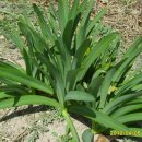 토종닭농장 이미지