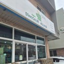 대정 | 제주 대정 도마뱀분양 후기 '공룡마을' 첫 도마뱀 입양!