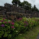 법환마을회관 이미지