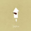 잉글리쉬트리 이미지