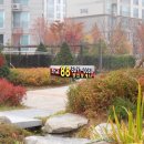 판교88공인중개사사무소 이미지