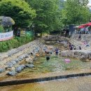 숨은 계곡 이미지