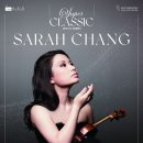 바이올린 이미지