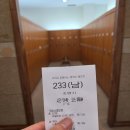 [천안] 마론뉴데이 C.C / 최고의 벚꽃명소