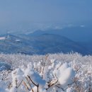 경성꽈배기 광주무등산점 | 2026.2.14(토) 무등산 | 백마능선 코스, 날씨, 국립공원 CCTV, 페플셔틀 후기