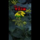 오복 이미지