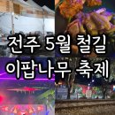 전주 팔복동 철길 5월 이팝나무 봄꽃 축제 후기