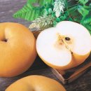 청명축산 이미지