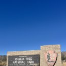 (주)쿠폰트리투어 | LA 여행 조슈아트리 국립공원 투어 추천