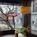 서담재 | 책방 서담재｜조용히 나를 채우는 공간, 혼자 가기 좋은 감성 북카페 추천