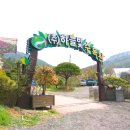 상맹방1리 이미지