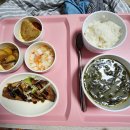 미즈맘산부인과 티스토리