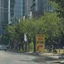 핫DOG | [2026 고양국제꽃박람회] 🌷총정리 (+임시주차장/주차 꿀팁)