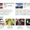 처음만난piano