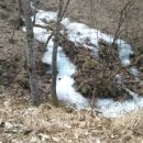 버들1길 이미지