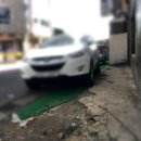 신성로 뉴스제주
