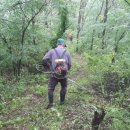 백운산 등산로 이미지