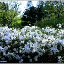 BBC당구장 이미지