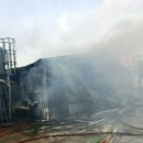 봄양계장 이미지