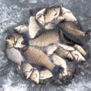 스타복권방 이미지