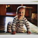 안압농장 이미지