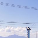 만남의광장 충전소 이미지