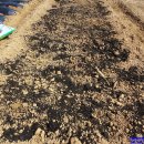 계룡농장 이미지