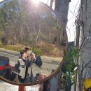 부경대학교수산과학연구소 이미지