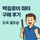 맥길로이 퍼터로 갈아탄 이유, 도곡골프샵에서 직접 쳐보고 결정한 후기⛳️