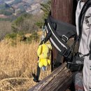 민둥산운동장 2 | 2025강원도 정선 민둥산 등산 일기