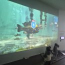 서천-9 | 서천 국립생태원 에코리움 솔직후기(내돈내산)