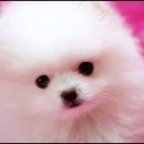 몽글몽글 이미지