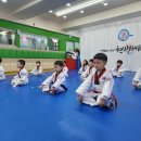 강인아이 태권도 | 부천 중동 경희대 박사 현대 도장에서 감정 조절의 달인, 태권도에서 배우는 과학적 정서 조절법