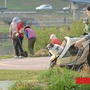 개랑 나들이 이미지