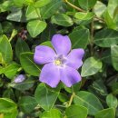 두륜산농장 이미지