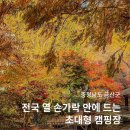 캠프무무