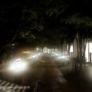 삼가-11 | 경북 영주 가볼만한 곳 소백산 국립공원 삼가야영장, 소막텐트 하우스 1박2일 후기