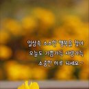 독배