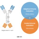 아이엠50 이미지