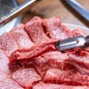 모모한우진갈비 식육식당